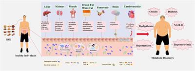 Exploring a novel therapeutic strategy: the interplay between gut microbiota and high-fat diet in the pathogenesis of metabolic disorders